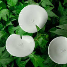 Lade das Bild in den Galerie-Viewer, Ge03 - Mohnblume aus Porzellan