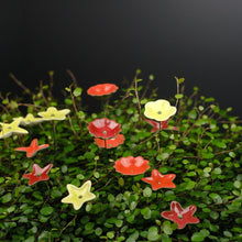 Charger l'image dans la galerie, Ge03 - Wiesenblume bunt groß aus Porzellan