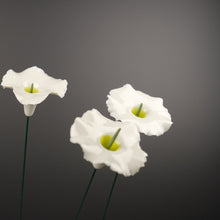 Lade das Bild in den Galerie-Viewer, Ge03 - Zauberhut aus Porzellan