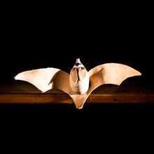 Load image into Gallery viewer, EPERFA - Big-eared Bat - Wooden toys
