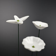 Lade das Bild in den Galerie-Viewer, Ge03 - Wiesenblume weiß groß aus Porzellan
